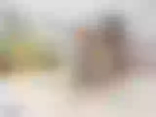 Live sex webcam photo for sweetyaleks #240536343