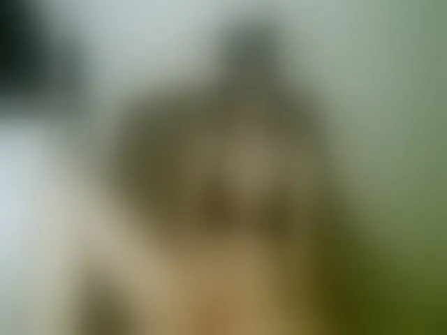 Live sex webcam photo for Terra1123 #265126295