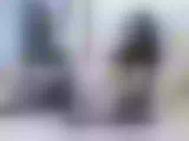 Live sex webcam photo for Vikibru #240946250