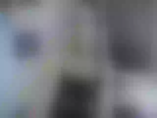 Live sex webcam photo for IndianMama #256883490