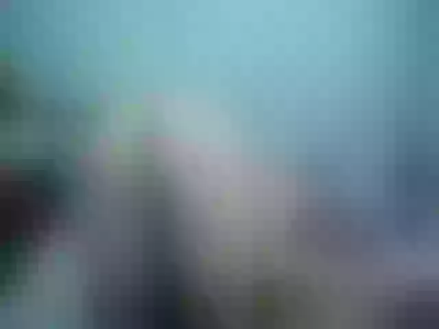 Live sex webcam photo for Girlhornyx20 #260855411