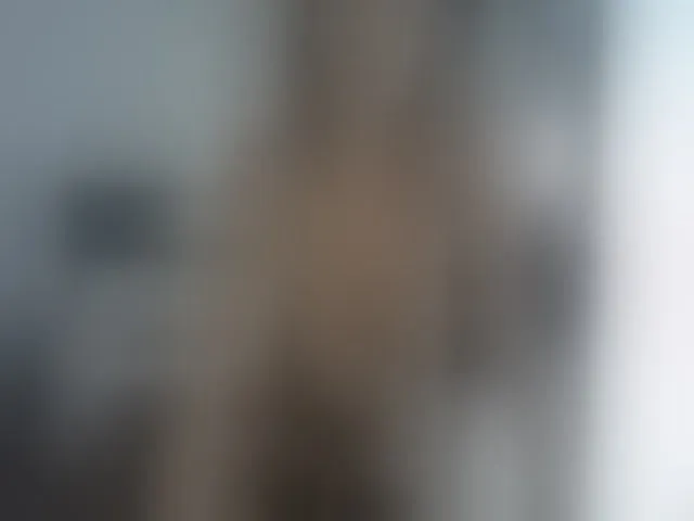 Live sex webcam photo for Carollyne_ #256001719