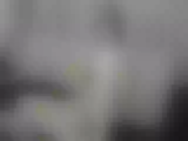 Live sex webcam photo for Alexbibi #261305142