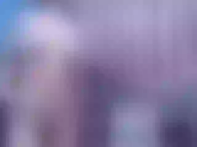 Live sex webcam photo for Evatwiss #261762500