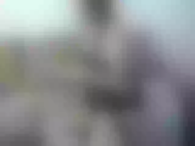 Live sex webcam photo for Jessy4Lovex #262001975