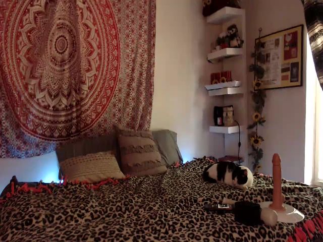 Live sex webcam photo for Missdankkitty #254480349