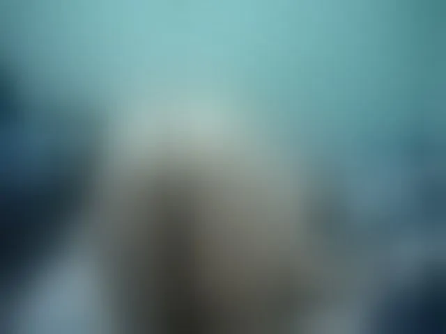 Live sex webcam photo for Girlhornyx20 #252298514