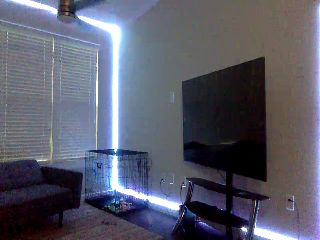 Live sex webcam photo for Sammy_gray #252083480