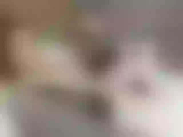 Live sex webcam photo for hotvik #253505274