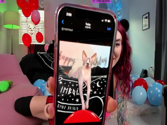 Live sex webcam photo for KasaraWood #255170713