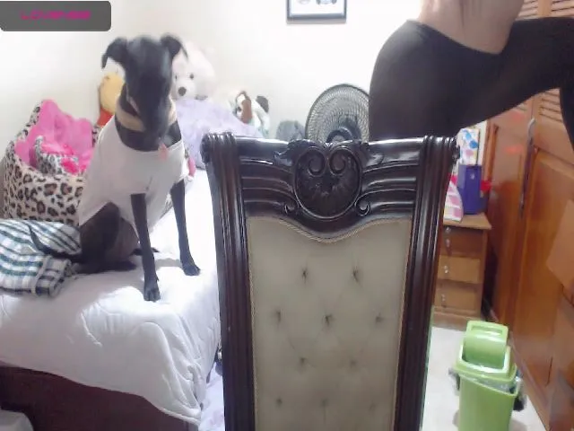 Live sex webcam photo for Meganhill_ #265131492