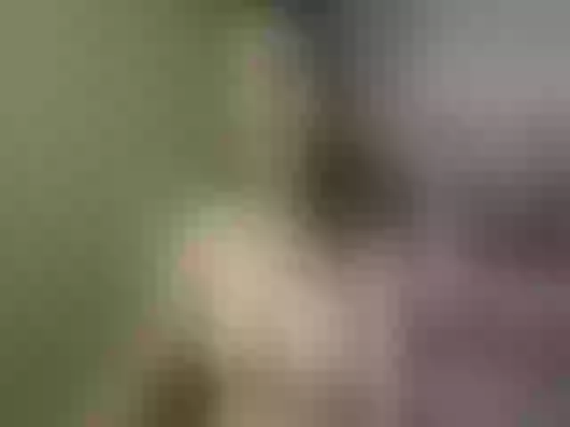 Live sex webcam photo for Evelynevi #252729576