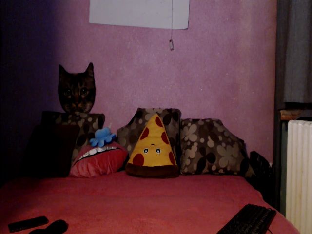 Live sex webcam photo for IamMiky #257844725