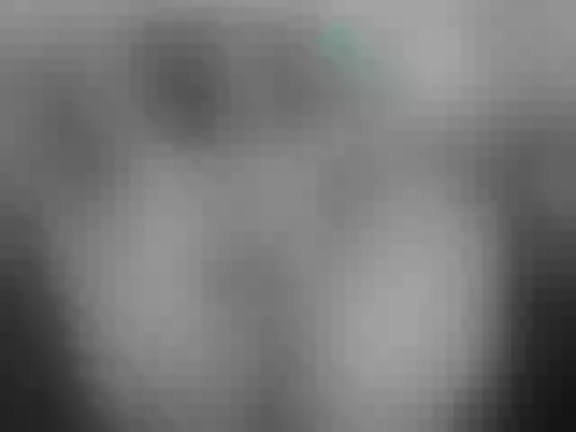 Live sex webcam photo for Mssburbuja #252776350