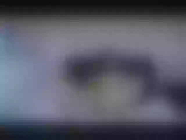 Live sex webcam photo for Courageuse #262710659