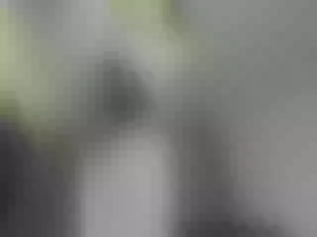 Live sex webcam photo for ego777me #287981556