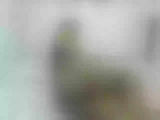 Live sex webcam photo for KiaraKaneel #241753972