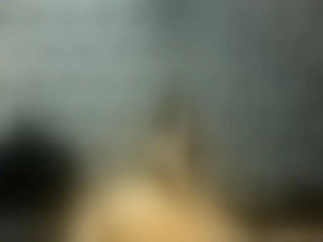 Live sex webcam photo for NikkySoul #258000918