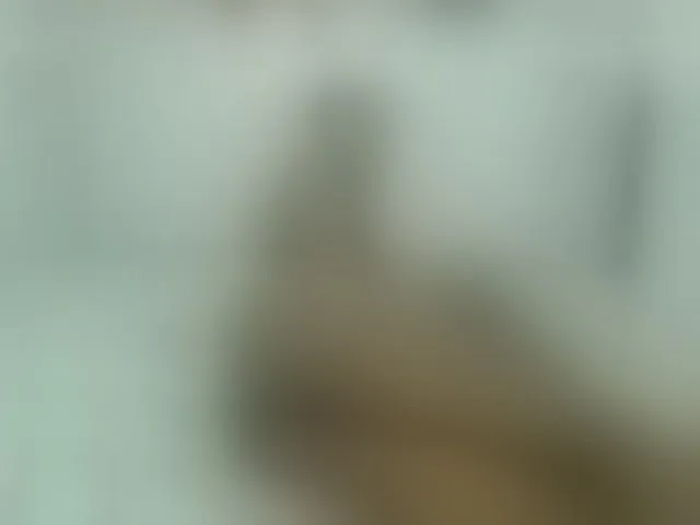 Live sex webcam photo for KiaraKaneel #242056176