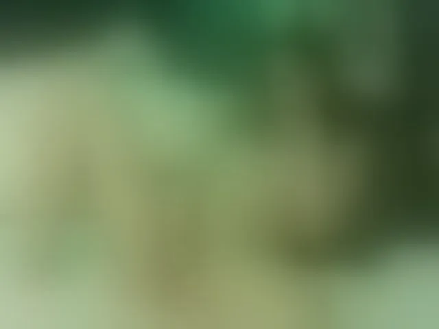 Live sex webcam photo for Alexajoyy #252270991