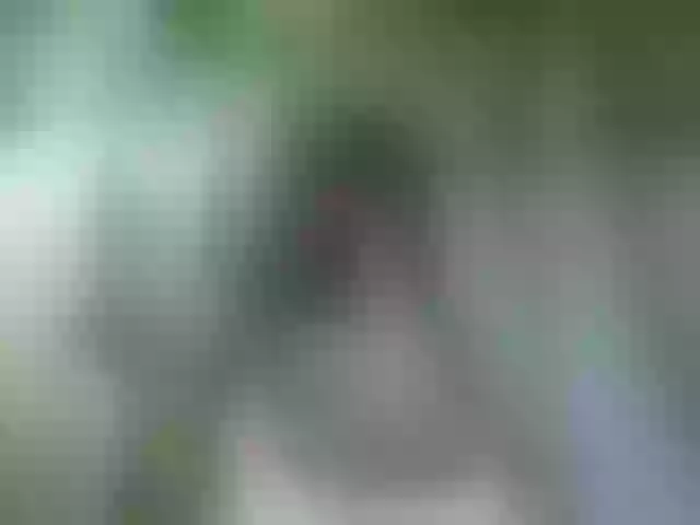 Live sex webcam photo for Amallllia #247665634