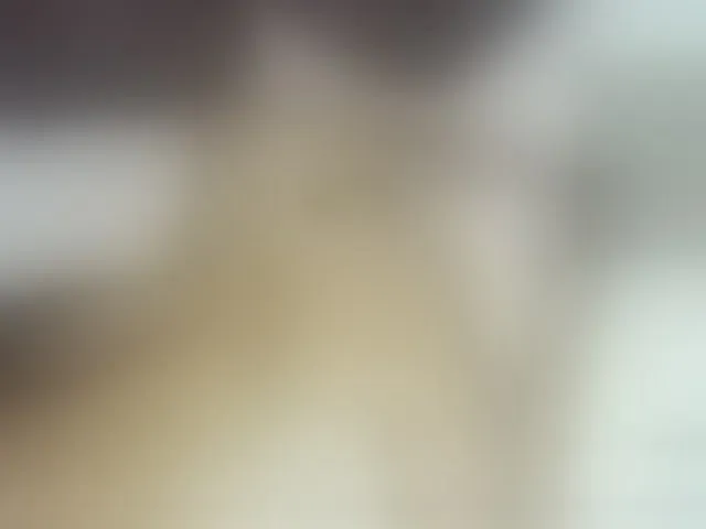 Live sex webcam photo for Wiciwet #241282216