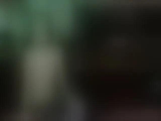 Live sex webcam photo for EmberBurns #261852215