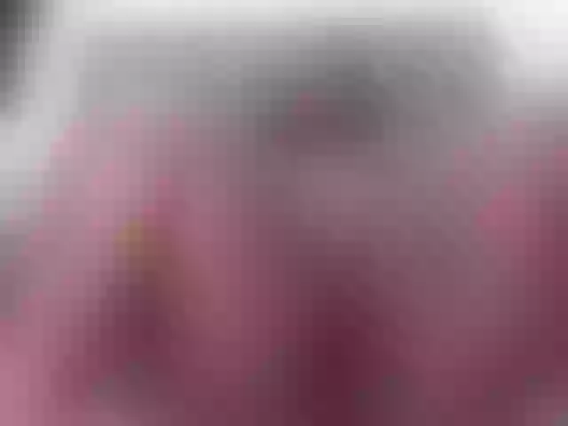 Live sex webcam photo for sexybrithany #242445726