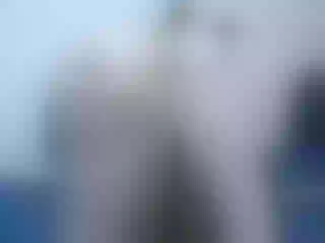 Live sex webcam photo for gizzell2 #241352502
