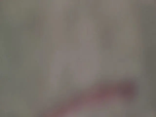 Live sex webcam photo for JolyBoss #253751594