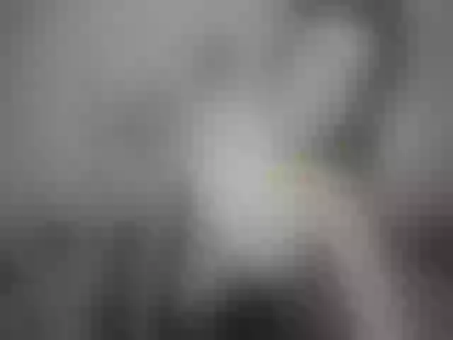 Live sex webcam photo for Alice_placs #264498524