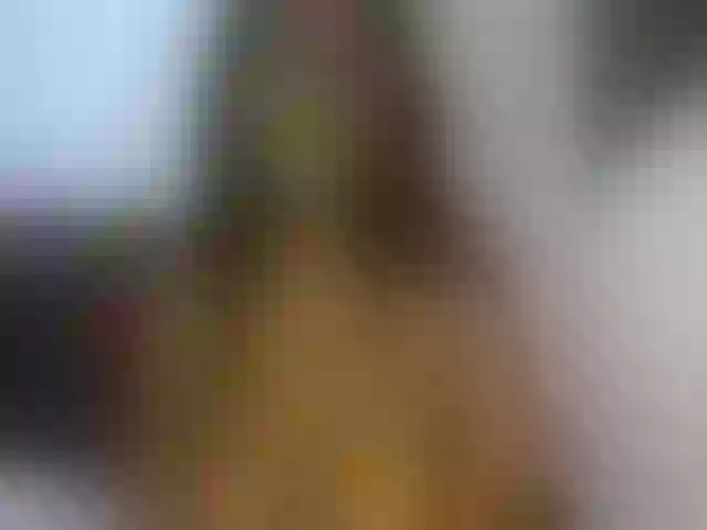 Live sex webcam photo for Mayax1 #253239039