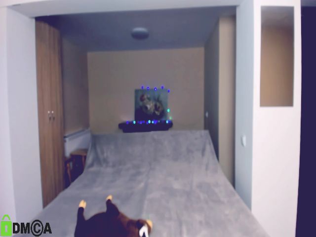 Live sex webcam photo for VellaB #254424429