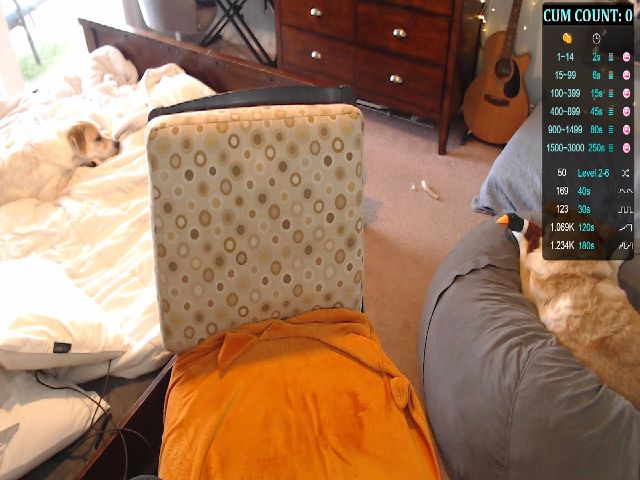 Live sex webcam photo for CyberTits #259530223