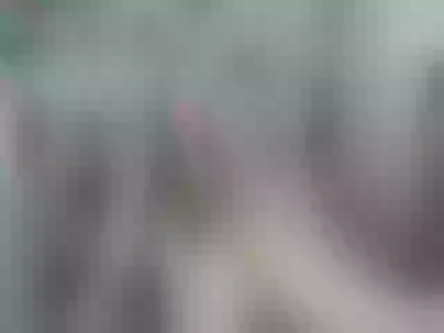 Live sex webcam photo for Greybunny #254115921