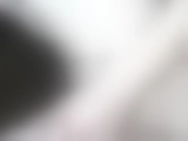 Live sex webcam photo for fox-seks #240973609
