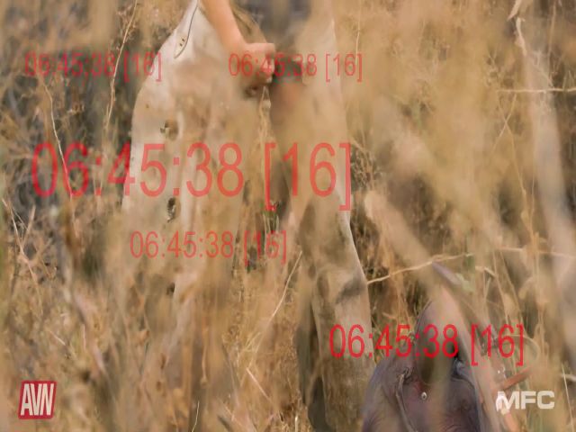 Live sex webcam photo for TestCam11 #255844046