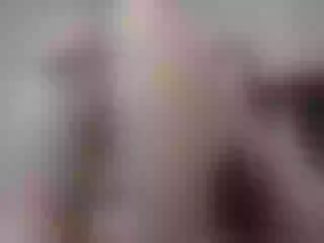 Live sex webcam photo for Amorouskaty #254689965