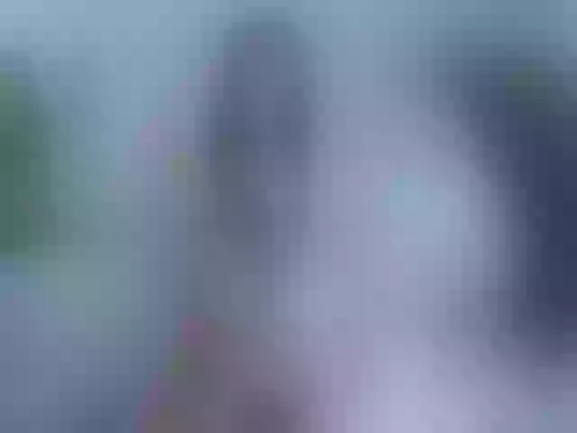 Live sex webcam photo for Selerah #260949626