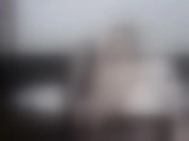 Live sex webcam photo for Moon-star #249515412