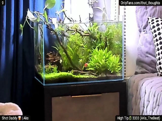 Live sex webcam photo for aleXis #254708719
