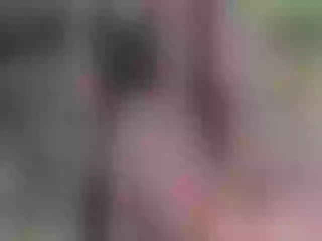 Live sex webcam photo for Sweet_Bella__ #259829218