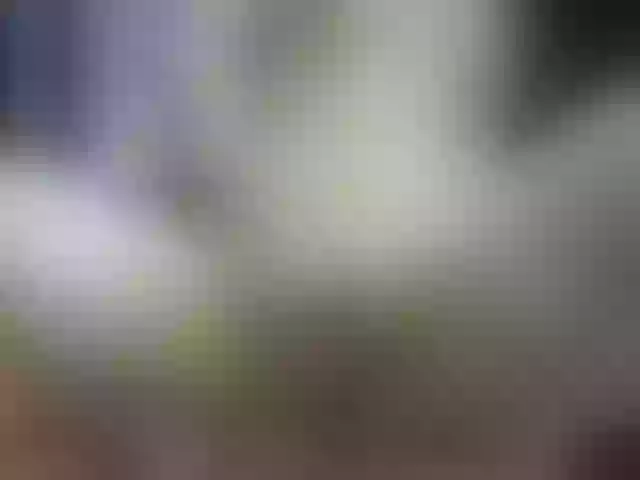 Live sex webcam photo for PussyMaya1 #241754342