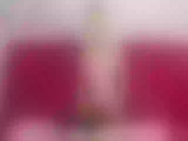 Live sex webcam photo for Lerry_Teen #258428806