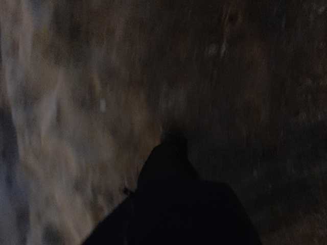 Live sex webcam photo for relishsavor #241014714