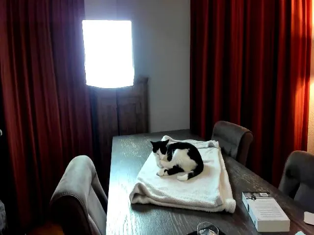 Live sex webcam photo for WildestKitten #256424517