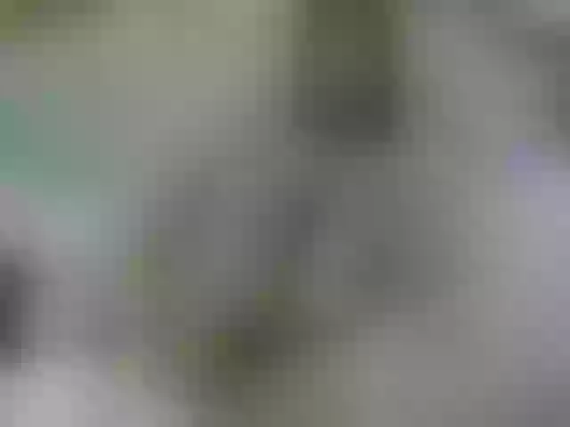 Live sex webcam photo for RockGoddesss #253173472