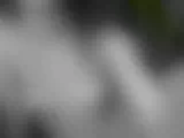 Live sex webcam photo for SofiAmeli #255095555