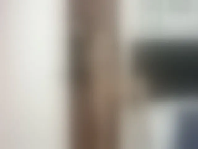 Live sex webcam photo for StormiSquirt #264495641