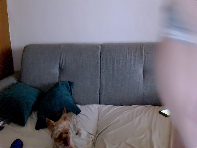 Live sex webcam photo for Stephycute #261423522